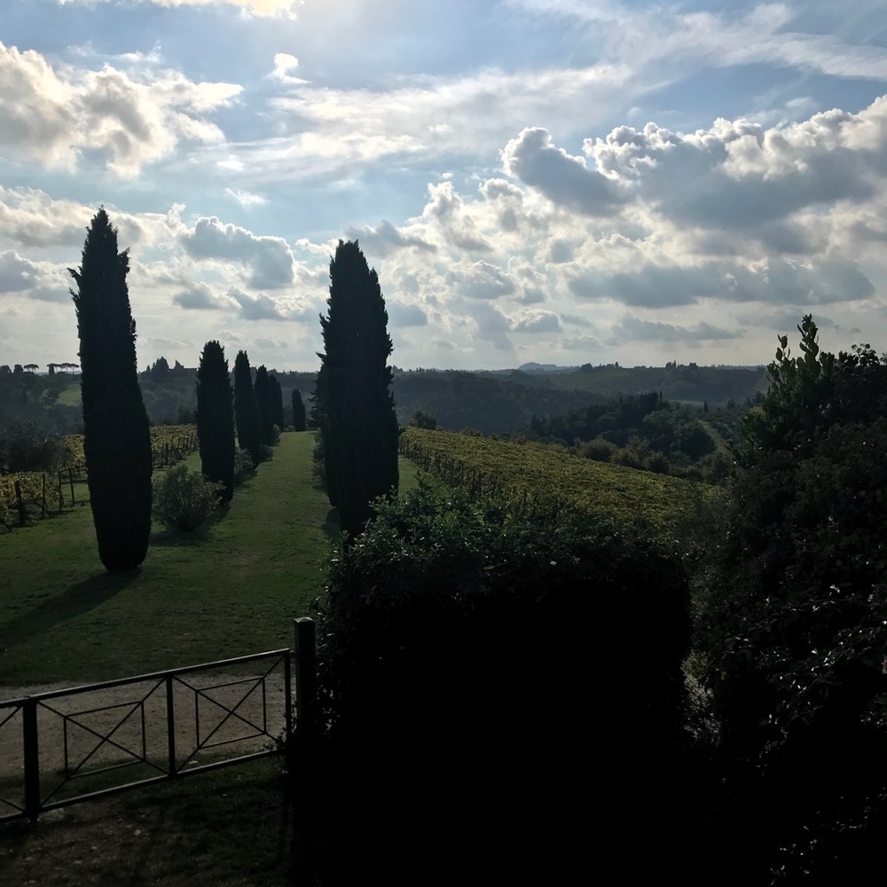 Meet your Posher, Laurie